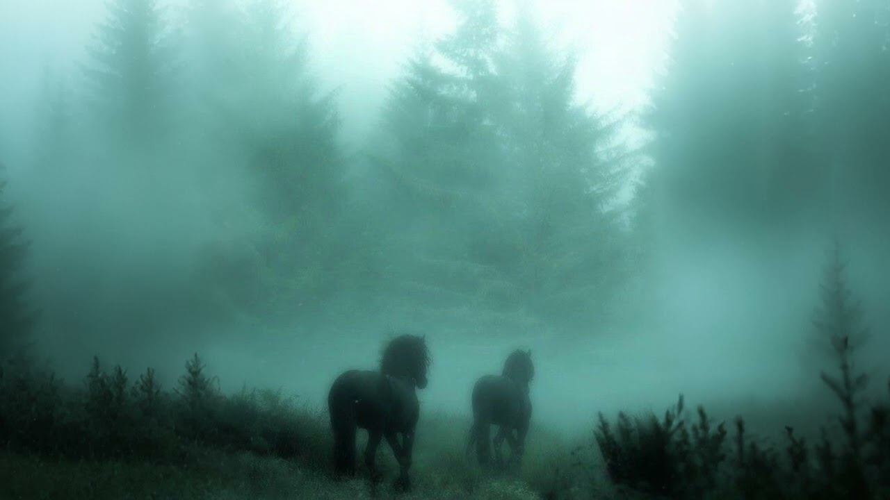 a magical place to rest (ambient calm playlist)