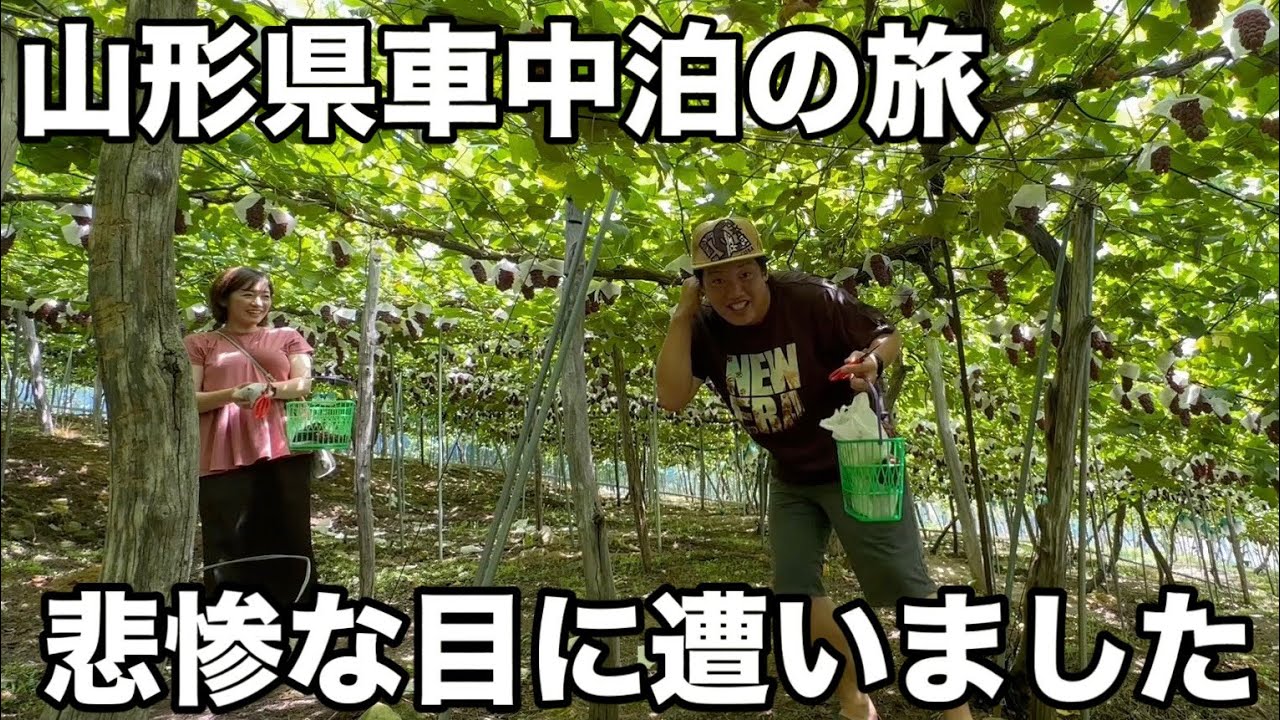 【車中泊の旅・新潟〜山形】南陽市のブドウ狩りや山形で超有名な豚カツがマジで美味すぎた