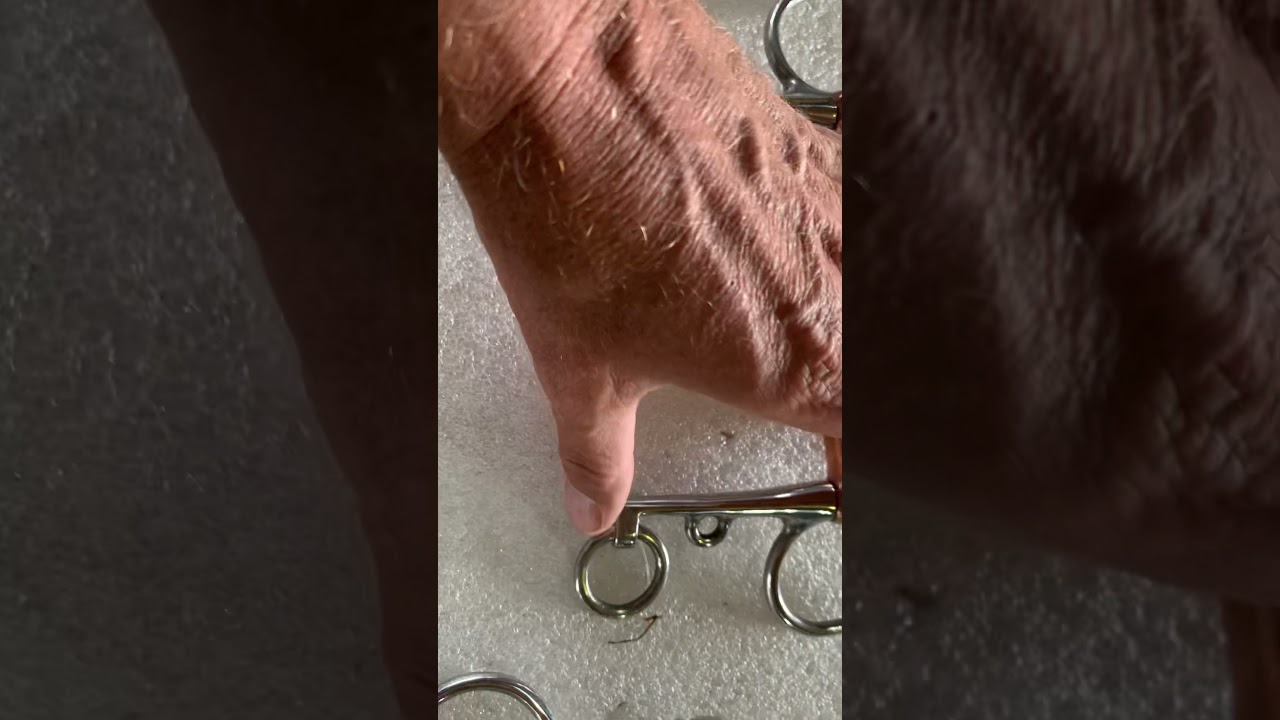 Pelham bit question