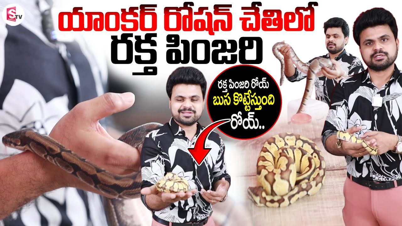 Exoctic pets Animals Yugesh | Raktha Pinjarroy Busa Kottestundirroy.. 🐍 | Hyderabad Pet Shops