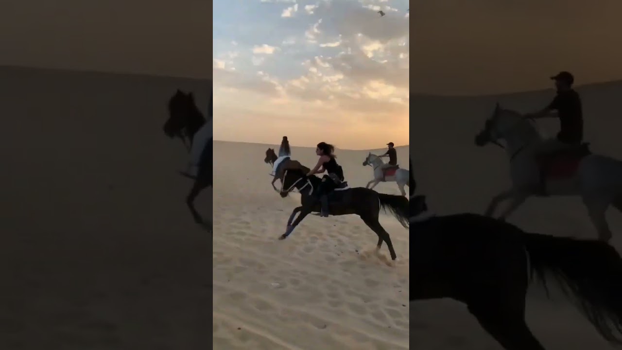 arabian horse riding by a beautiful lady in the desert 