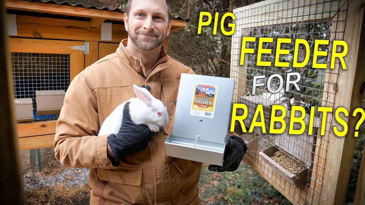 Кормушка для кроликов Baby PIG?