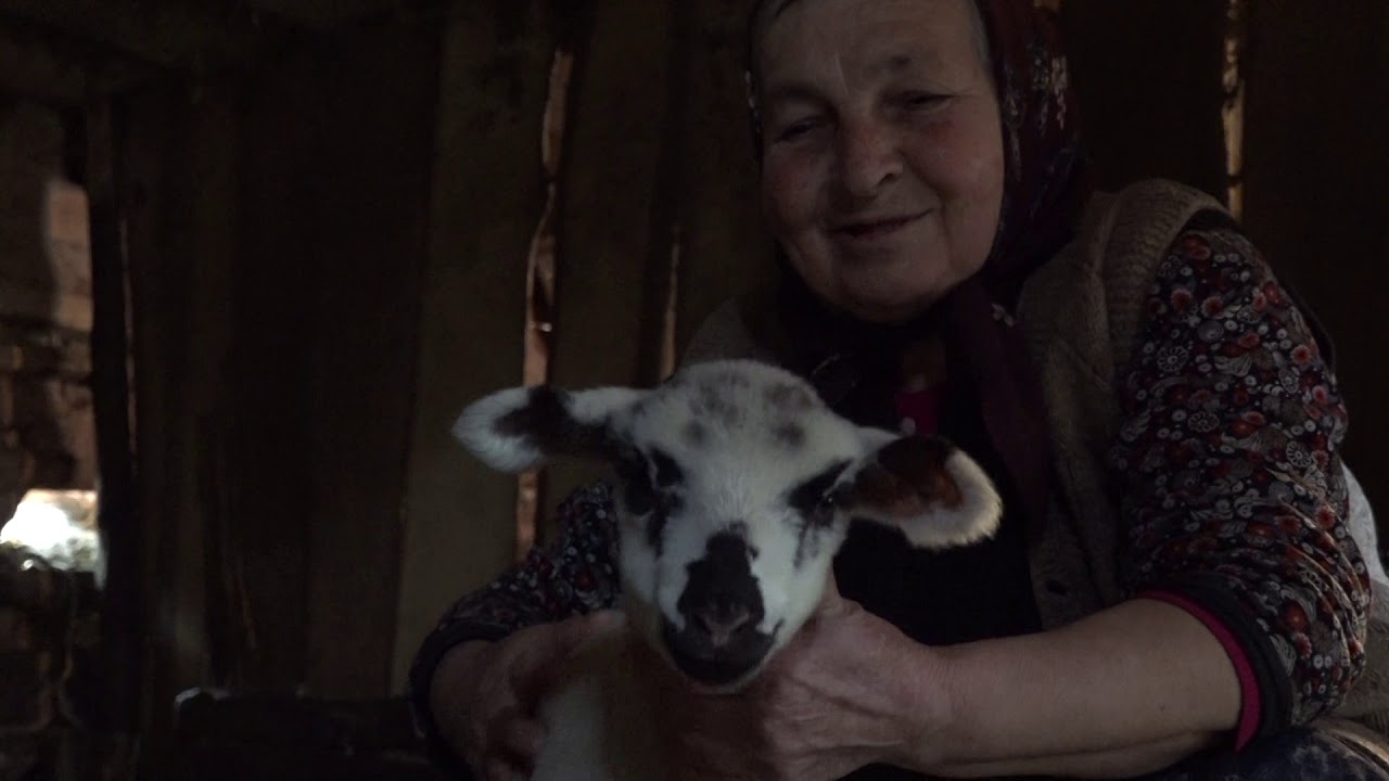 Naša priča ep. 193 03.05.2019. - Stočarstvo, Kosmovac i Šljivovik kod Bele Palanke