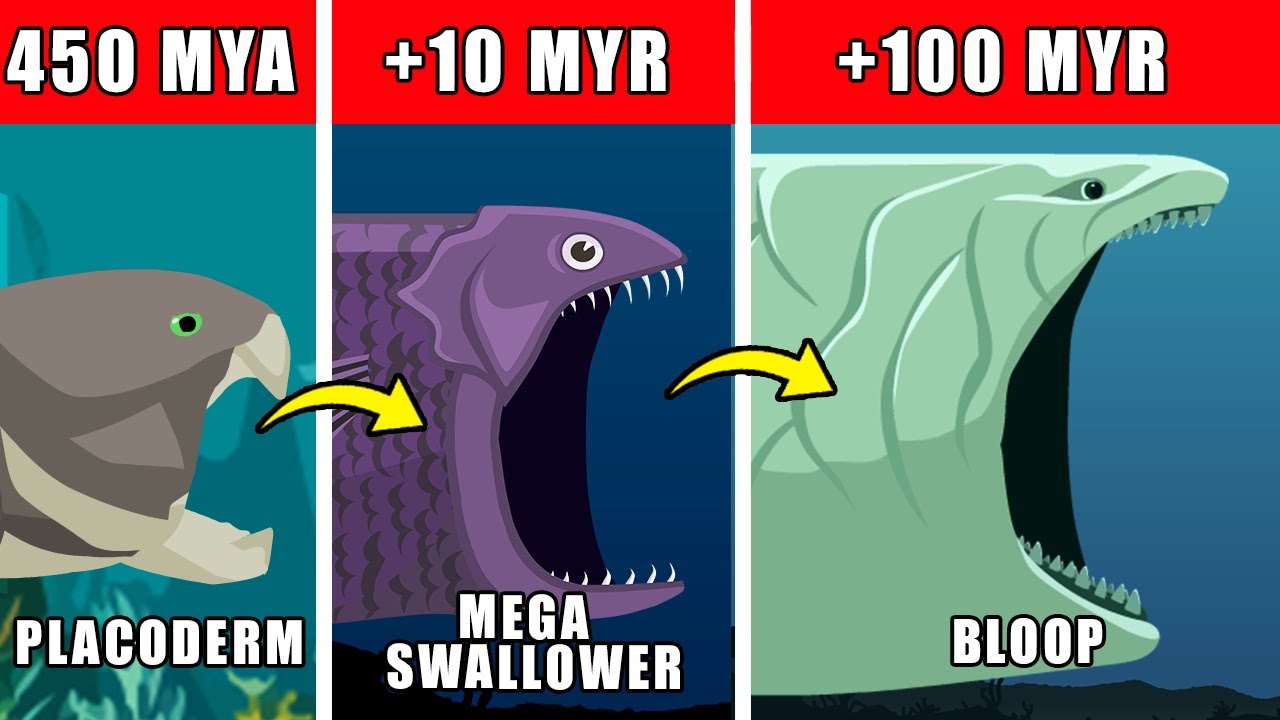 Bloop Origin Evolution: How the Bloop Could Have Evolved