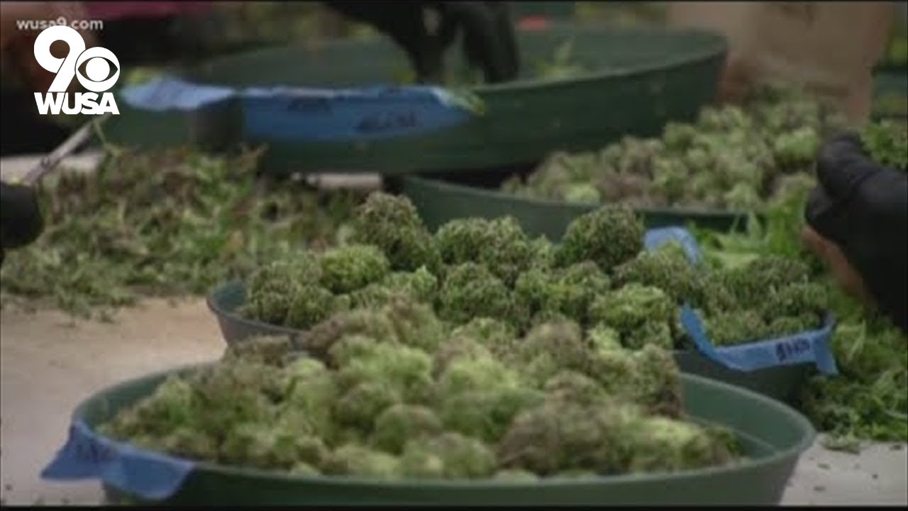 Fight over VA marijuana legalization continues as lawmakers finalize bill