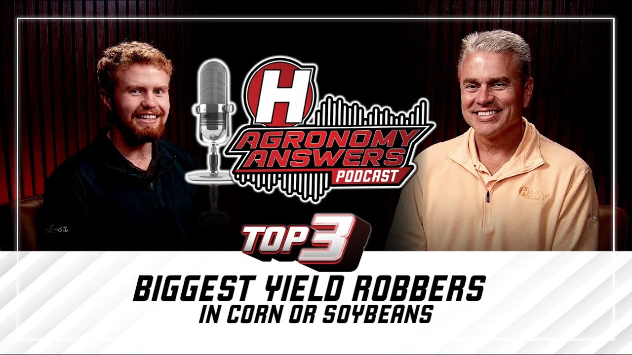 Top 3 Biggest Yield Robbers in Corn or Soybeans - Episode 3