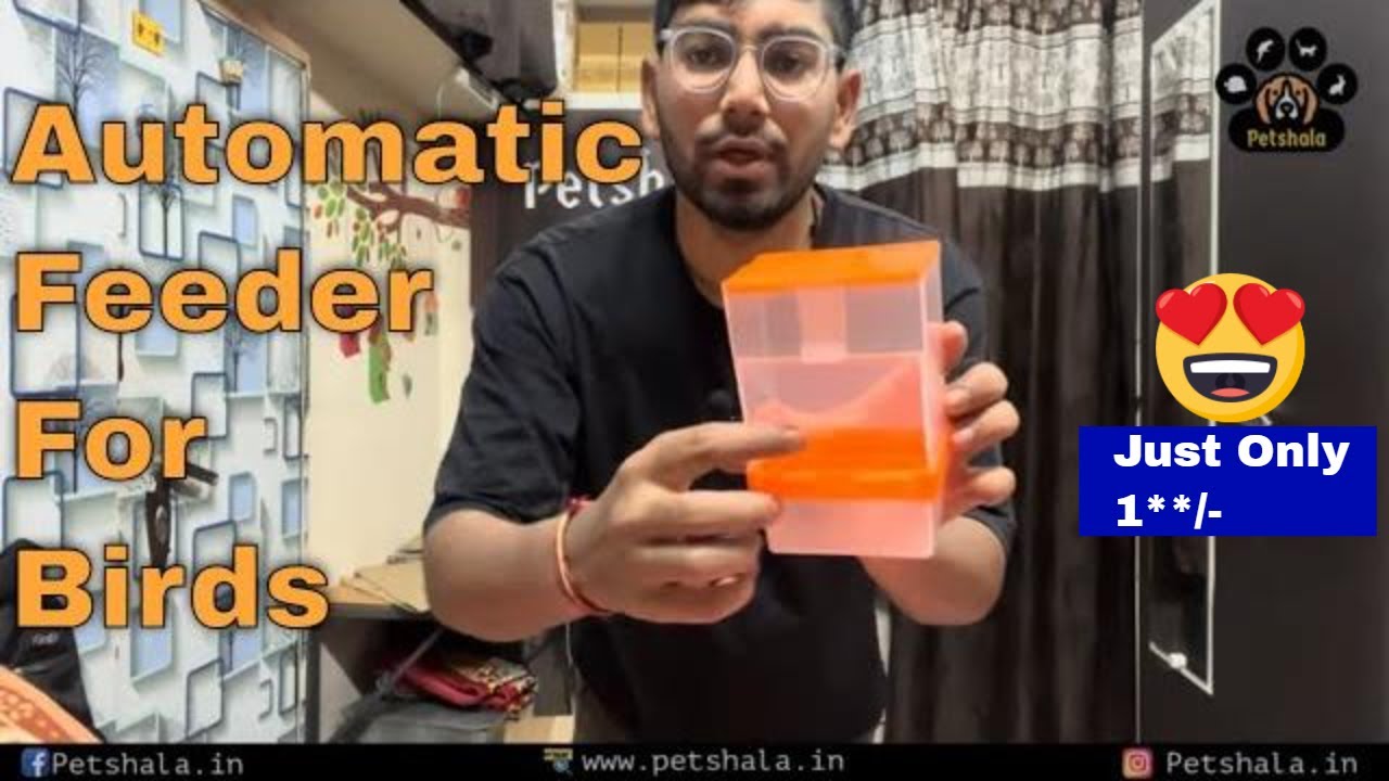 Automatic Seed Feeder For Birds | Automatic Seed Feeder | Seed Feeder For Birds | Petshala