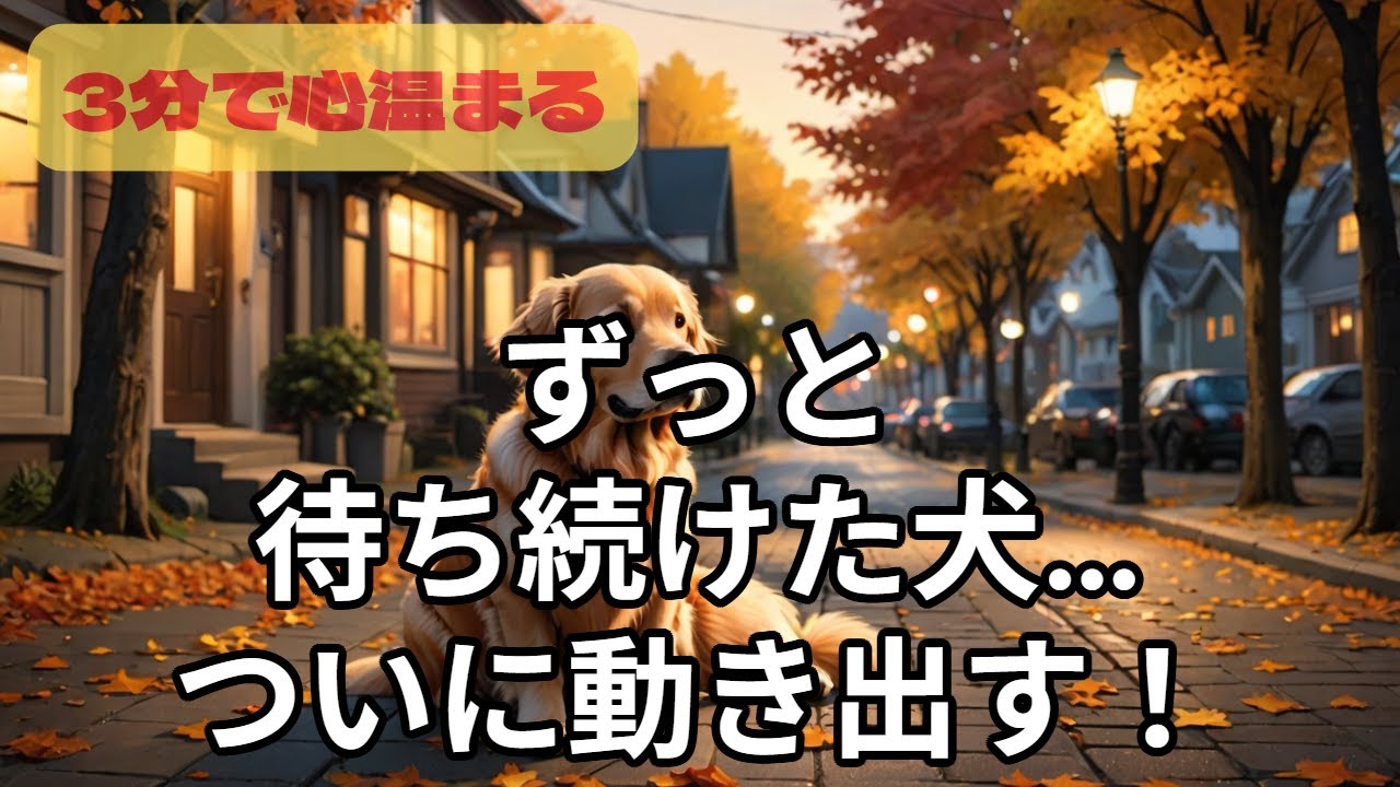 心温まる物語 ～帰りを覚えている背中～