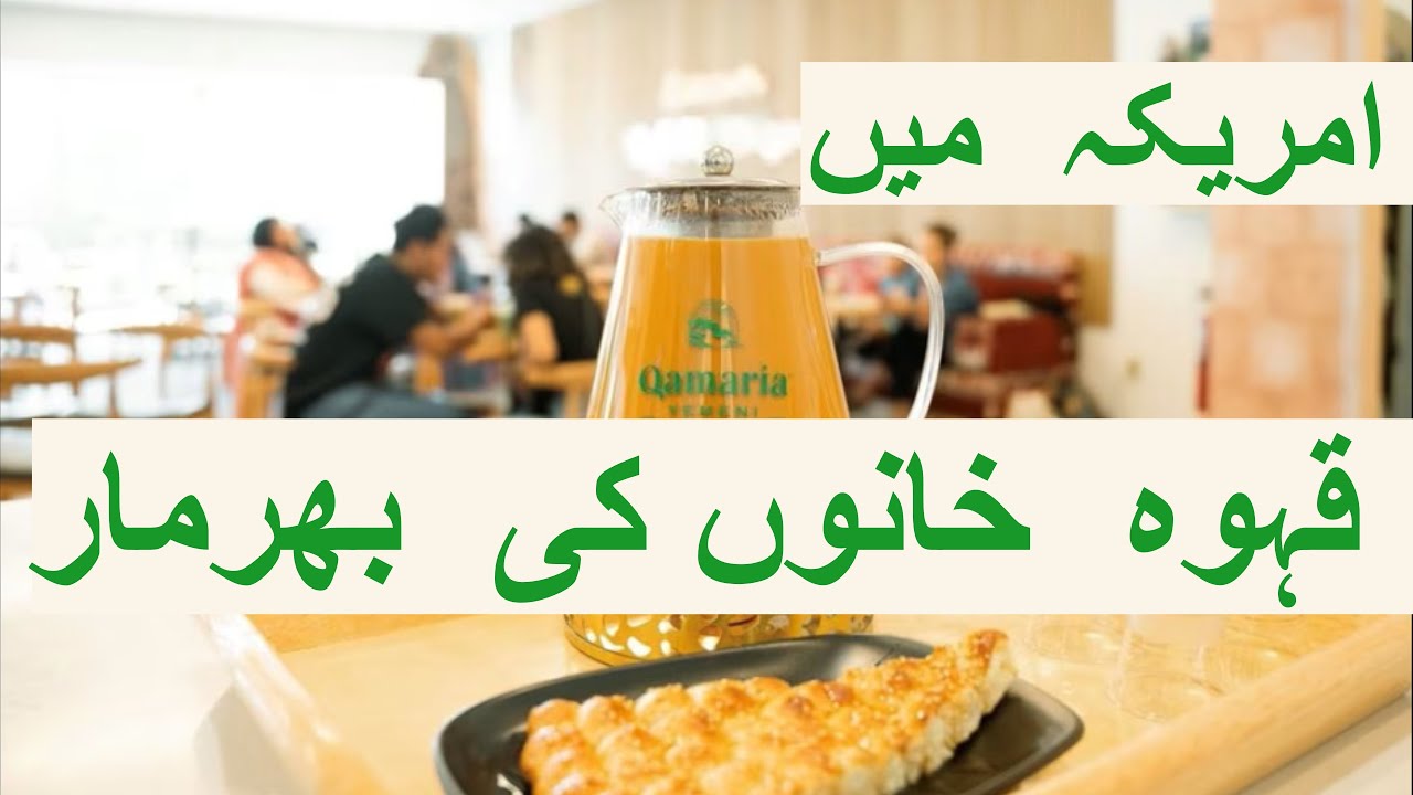The Story Of Qahwah House | قہوہ خانے دوبارہ زندہ | Arab Coffee Houses Across America