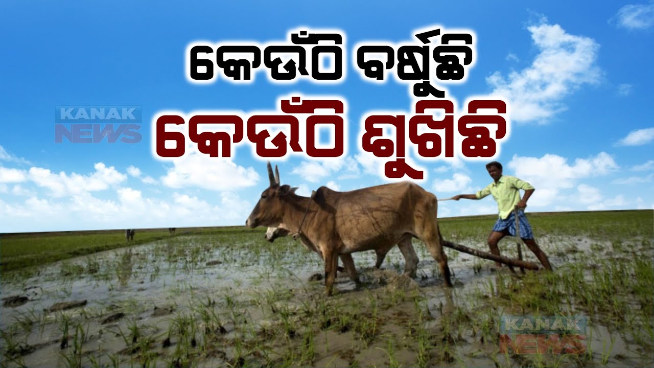 Erratic Monsoon Rain And It's Associated Problems At Various Parts Of Odisha