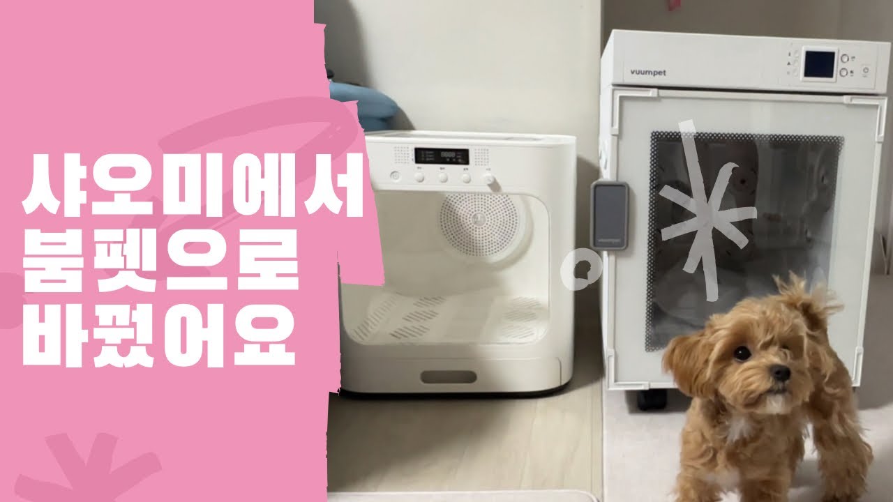 붐펫K50 펫드라이룸으로 바꿨어요 | 샤오미 잘가 고마웠어