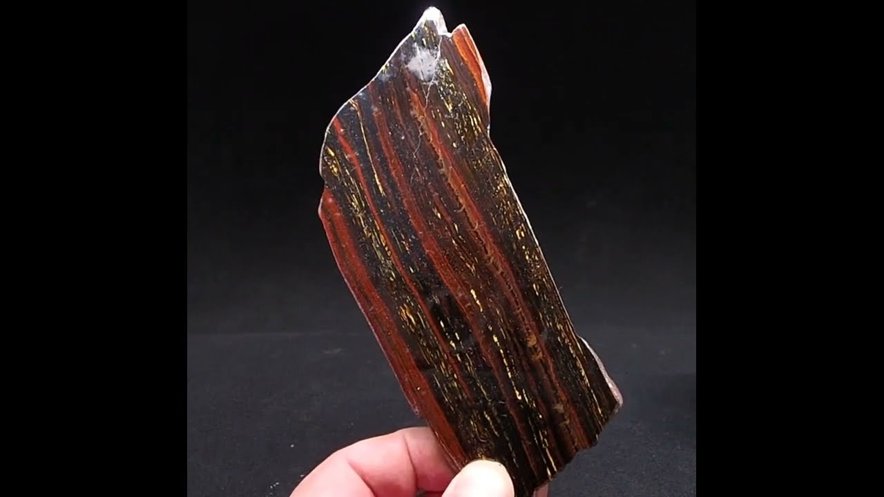 9113 Tigereye ca 8x17x1 cm Mount Brockman Australia 1986