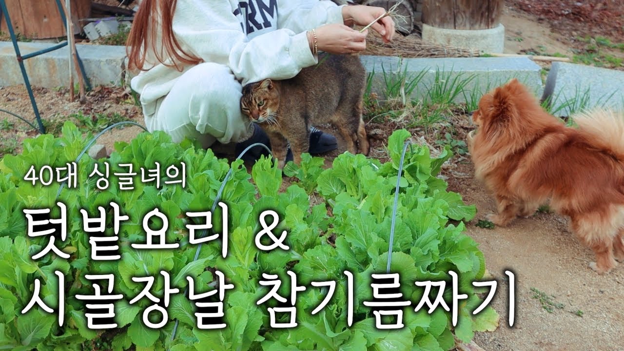 싱글녀의 시골일상ㅣ텃밭 채소로 차린 봄날의 밥상ㅣ시골장날 참기름 짜기ㅣ말비빔밥을 아시나요~