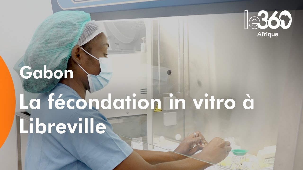 Gabon: immersion au sein du service de la procréation médicalement assistée de Libreville