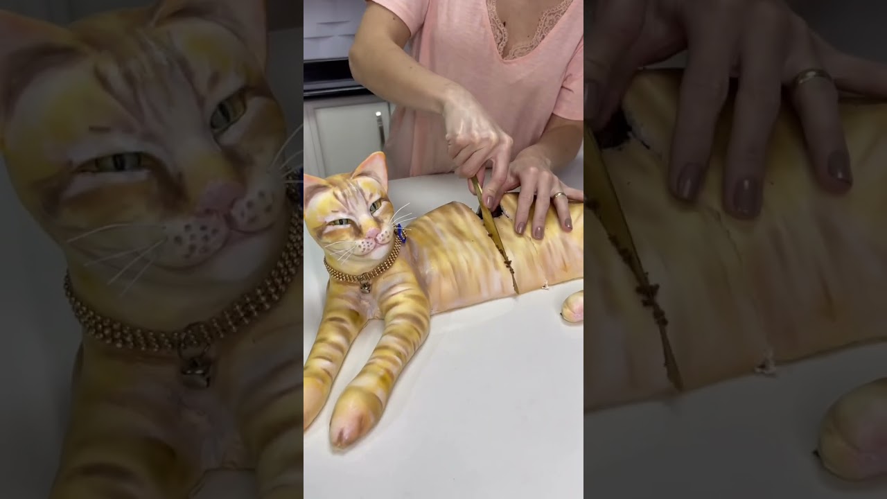 O dia que o Romeu virou bolo. 🐈 #cat #cakeorfake #viral