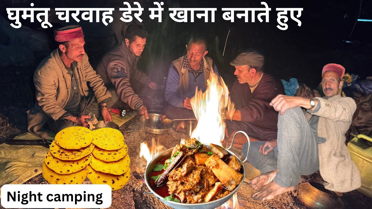 NIGHT CAMPING IN JUNGLE WITH NOMADIC SHEPHERD’S || घुमंतू चरवाह डेरे में खाना बनाते हुए | cooking