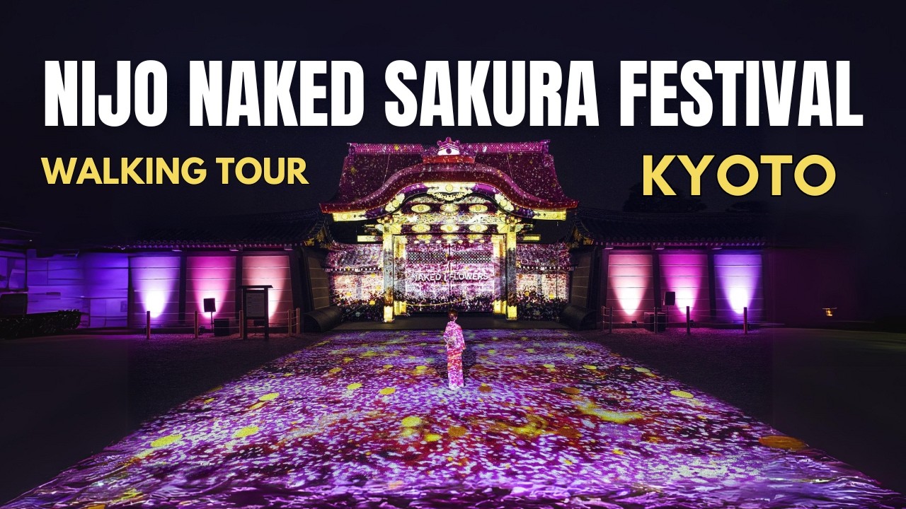 KYOTO FANTASY CASTLE! Nijo Naked Sakura Festival Walking Tour [4K60 HDR]