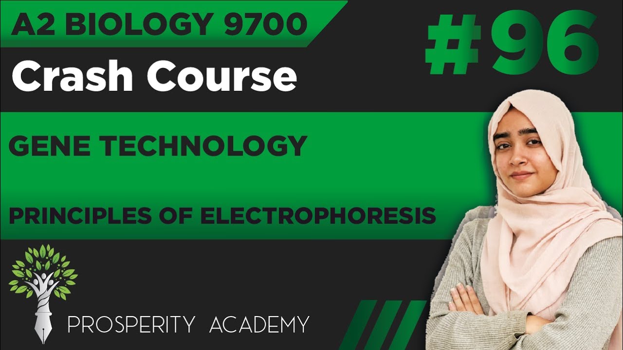 Principles of Electrophoresis | Gene Technology | 9700 A2 Biology Urdu/Hindi