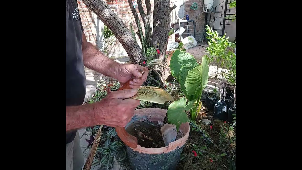Best tools for container gardening! Re-potting, Tools for mixing Compost, Mulch, & Transplanting.