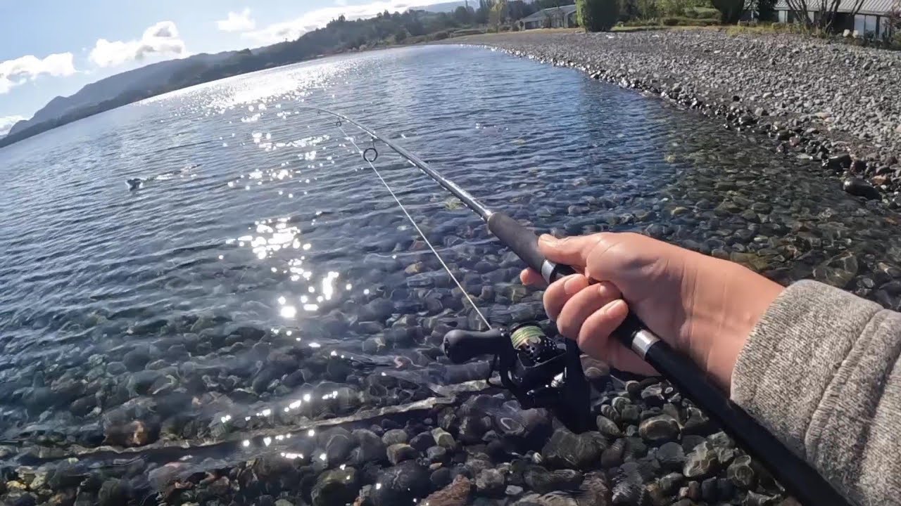 Será el mejor señuelo para pescar en el lago?/sur de Chile.