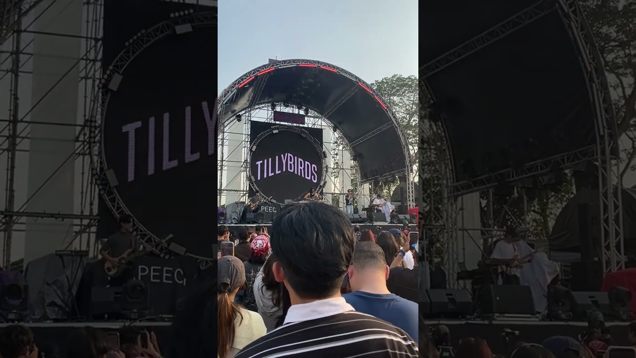จากกันด้วยดี (Ordinary) TILLY BIRDS | @Rinma INDIE 5