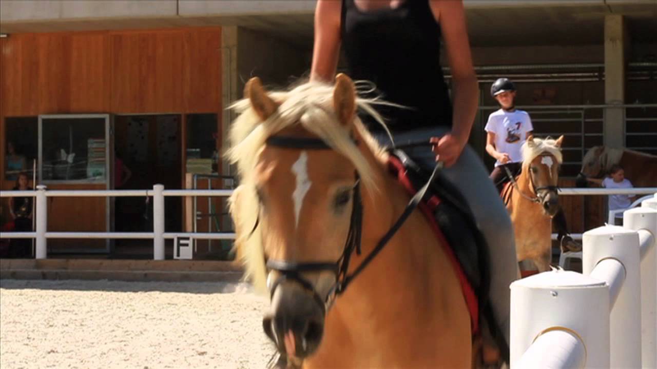 Reitarena Stubai Projekt 2