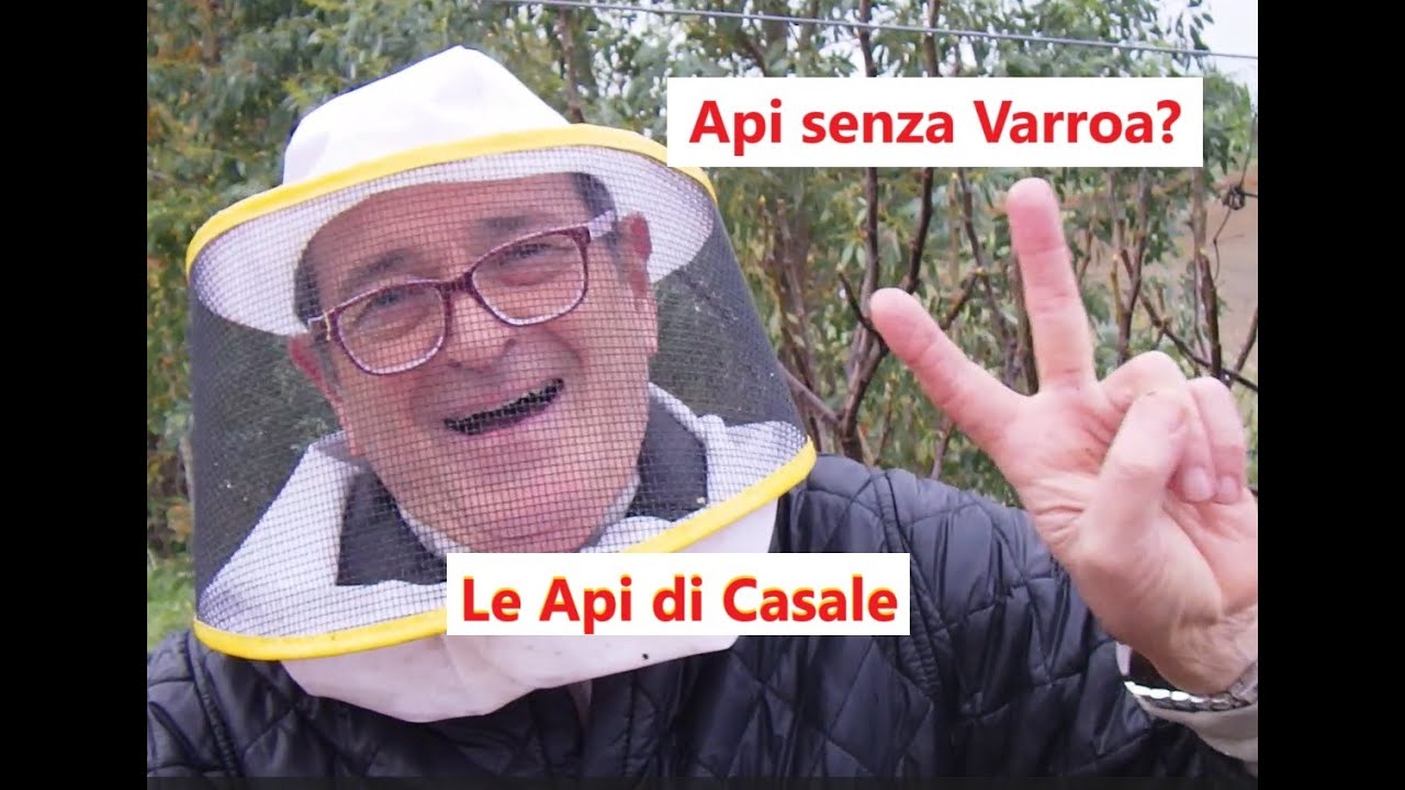 Api senza Varroa ?
