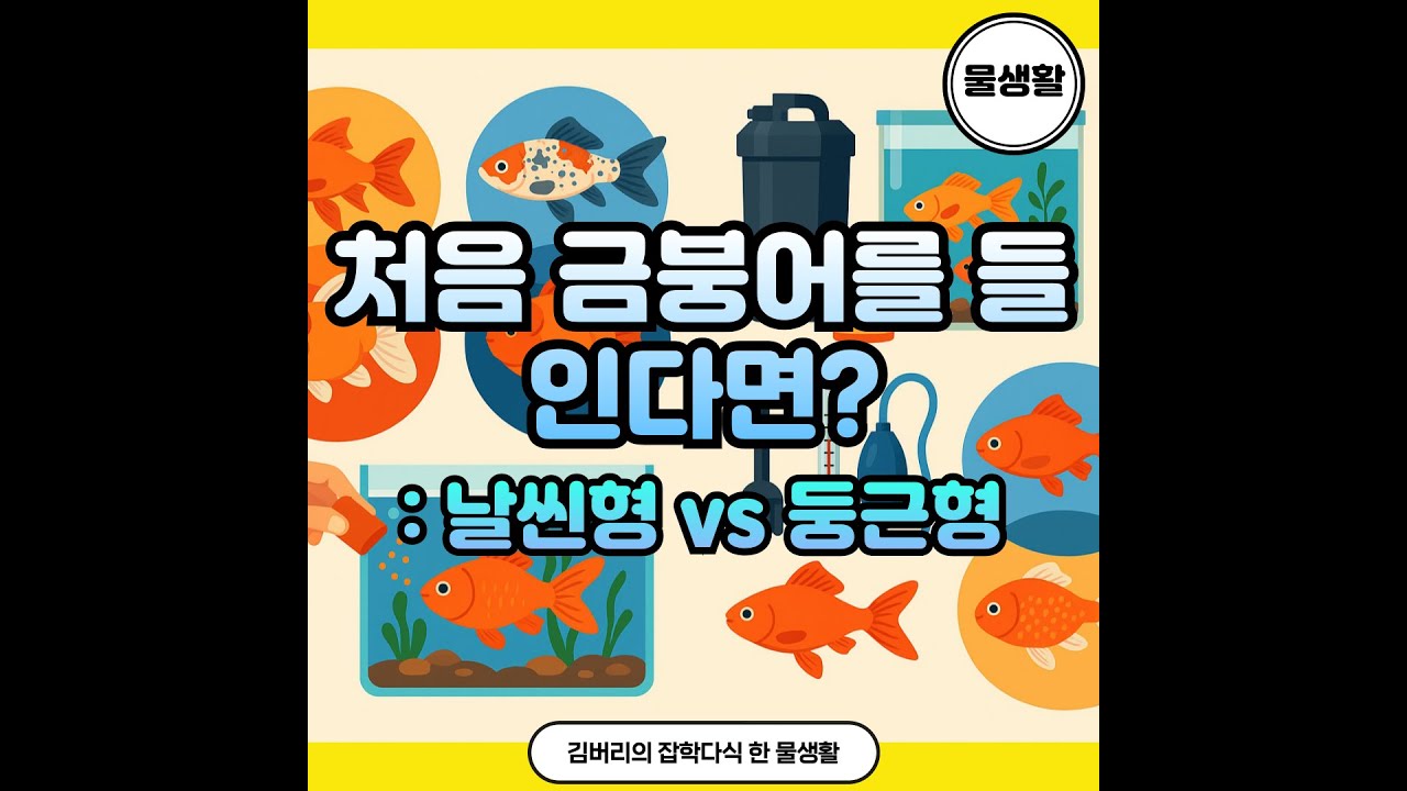 금붕어 종류와 키우기: 초보자를 위한 완벽 가이드