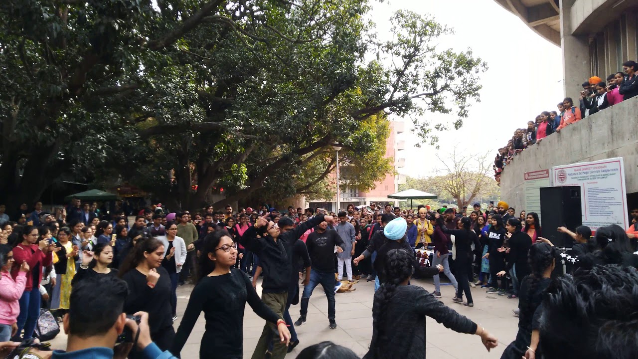 Flashmob at STU-C Panjab University Chandigarh