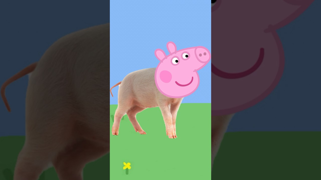 Real life animals with Peppa Pig heads