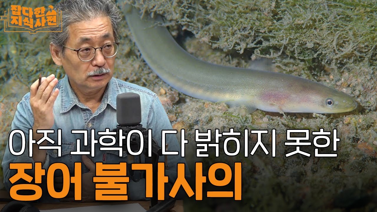 강으로 거슬러오는 연어, 바다로 떠나는 장어, 왜 그러는 걸까?