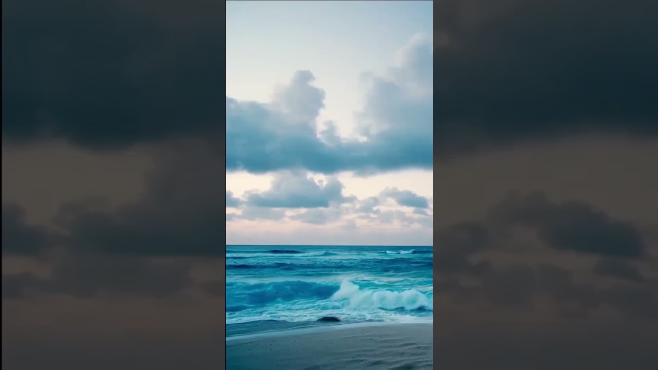 An Unbelievable Moment That Will Brighten Your Day! 🌟 #calmjourney #relaxingmusic #meditationmusic