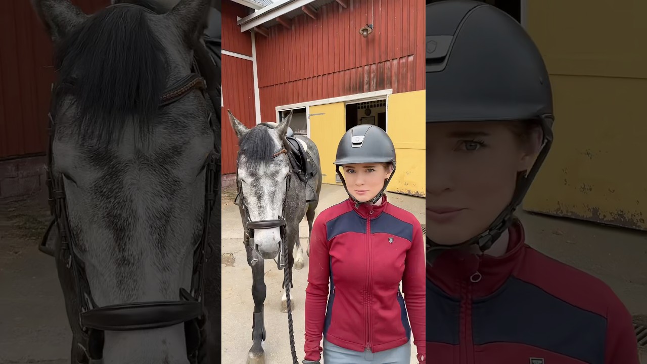 Money money money, must be funny, in a rich riders world 💸🐴 #horse #equestrian #horsegirl #rider
