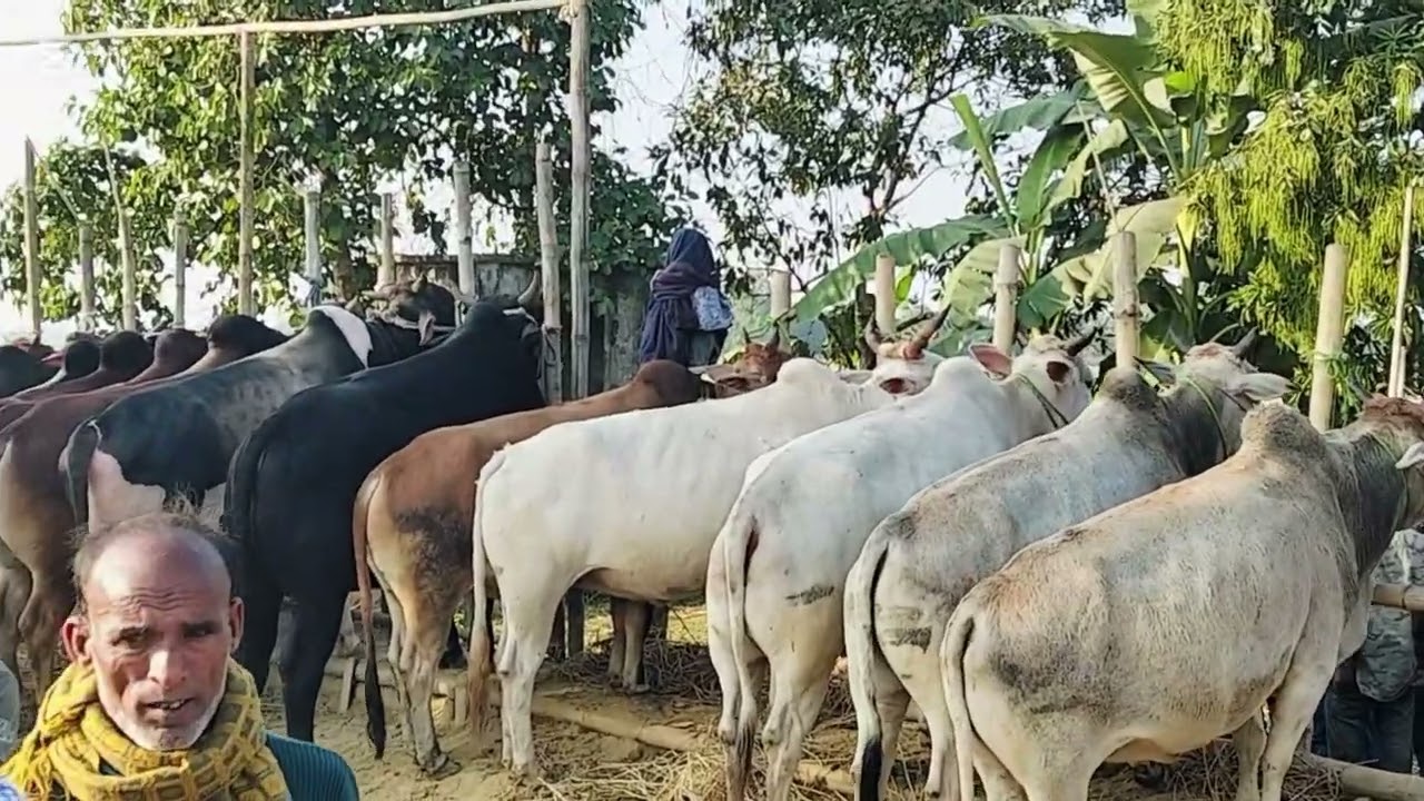 Janatarbazar 2025