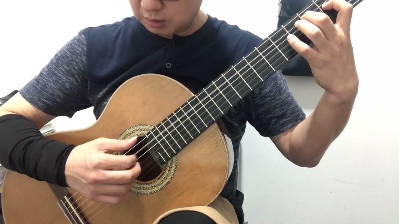 카르카시 연습곡 25 중 NO.9번 Allegretto grazioso 자세 설명 M.Carcassi Op.60 No.9 Posture Description