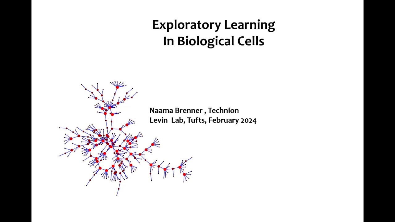Exploratory Learning in Biological Cells - a talk by Naama Brenner on Feb 13, 2024