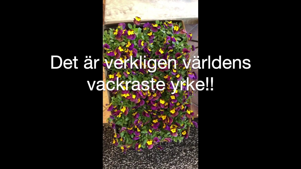 En kort film om FLORIST