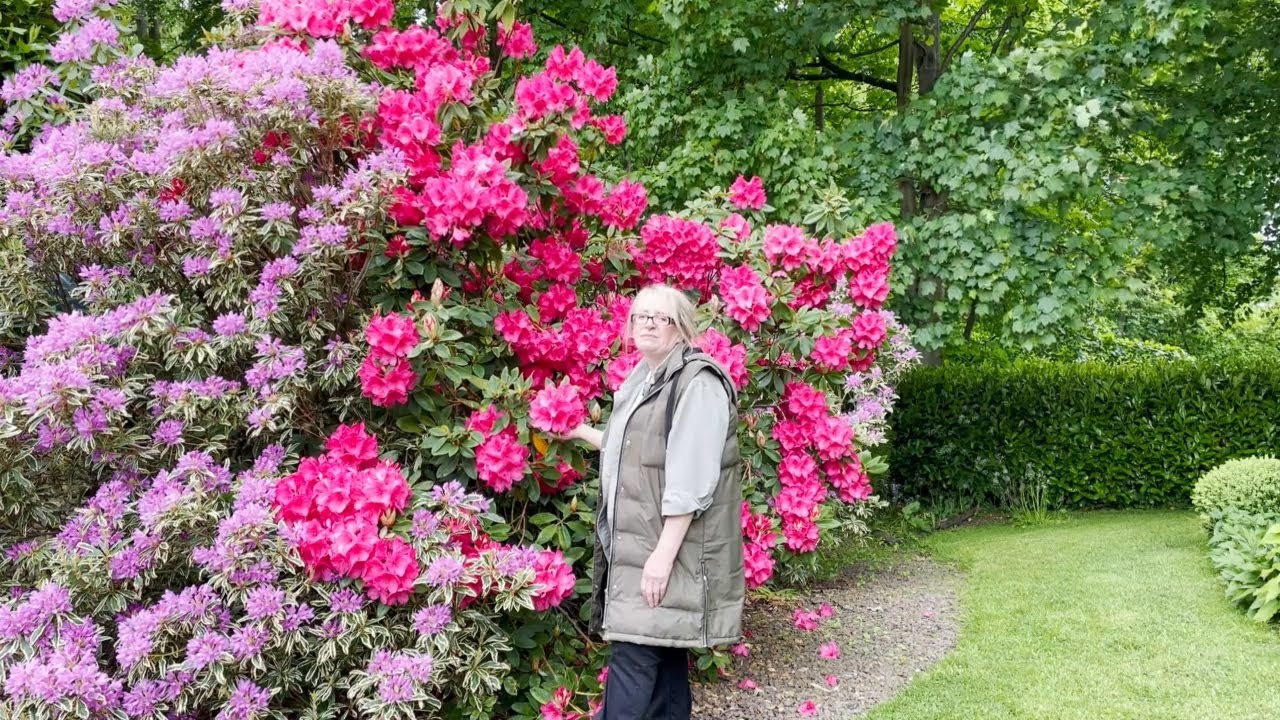 Tour of the Hot Border and adding new plants for Summer colour.