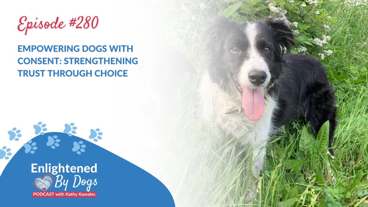 EBD280 encore Empowering Dogs with Consent  Strengthening Trust Through Choice