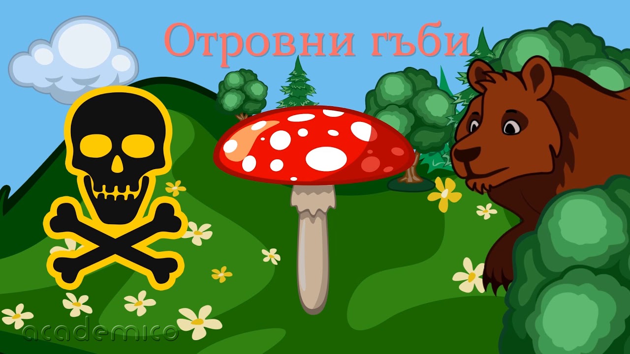 Гъбите в природата - Човекът и природата 3 клас | academico