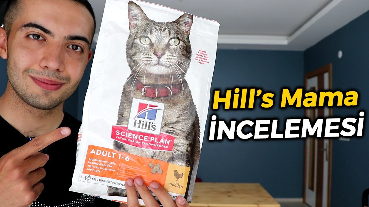 Hill's Kedi Maması İncelemesi (YETİŞKİN KEDİ MAMASI İNCELEMESİ) #hillskedimaması