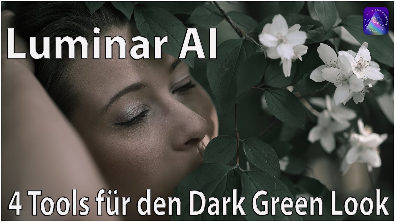Luminar AI - 4 Tools für den Dark Green Look