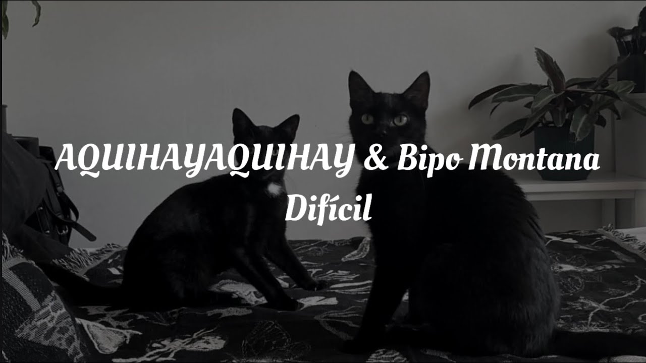 AQUIHAYAQUIHAY & Bipo Montana - Difícil (Letra)