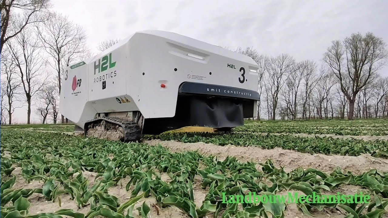 H2L Selector 180 bespuit automatisch zieke tulpen