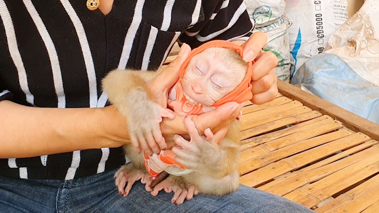 OMG! Baby Sono Stuck Teeth With The Clothes When Mom Wearing For Him