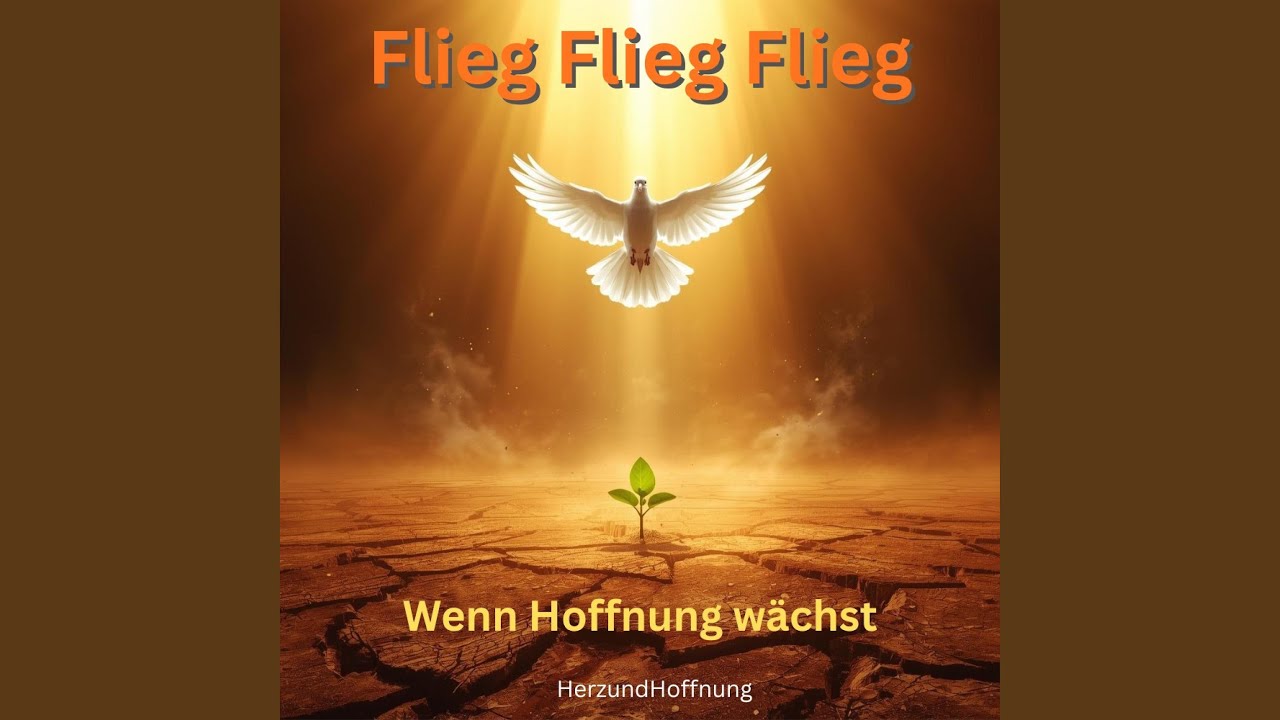 Flieg Flieg Flieg