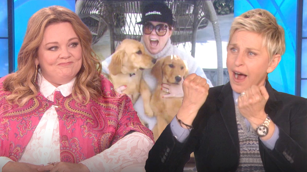 Celebrities Talking About Their Dogs for 29 Minutes Straight