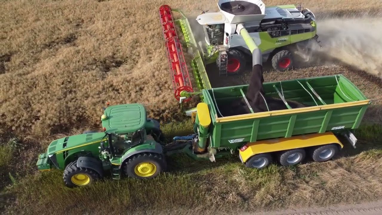 Claas Lexion 8800 1x Claas Lexion 8700 1x  Žatva repky olejnej 2023 #1