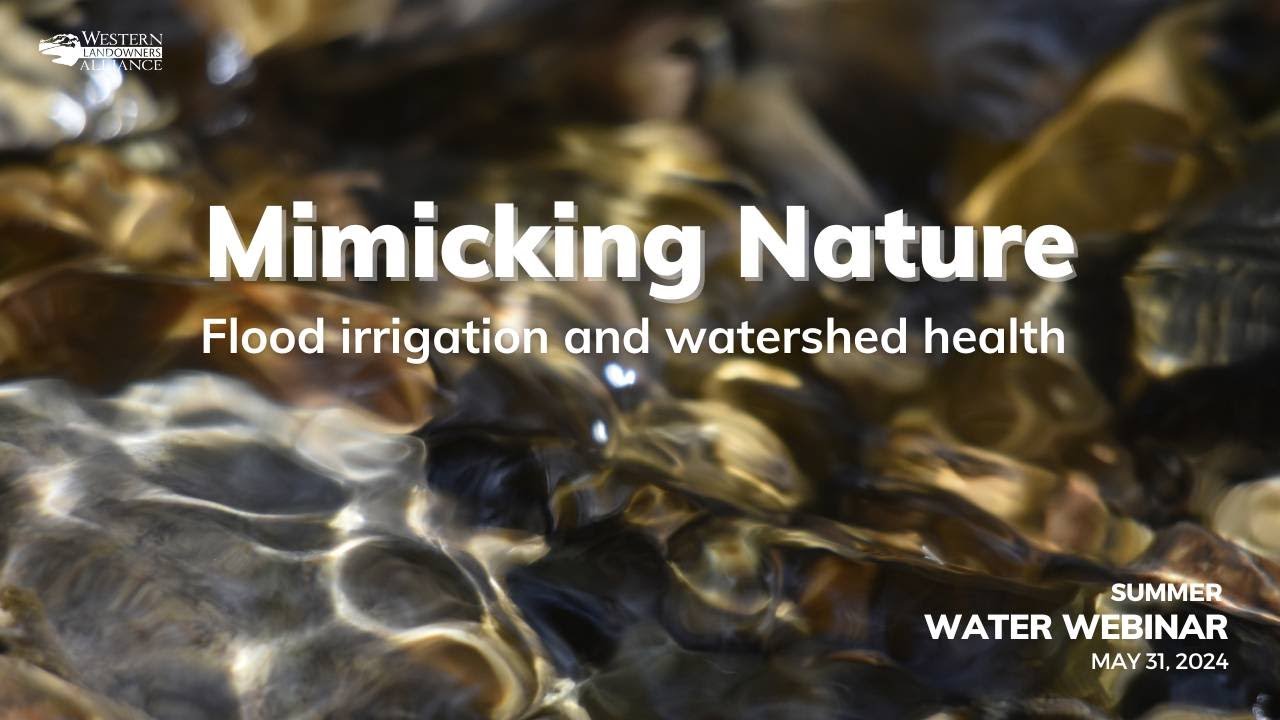 Mimicking Nature: Flood irrigation and watershed health