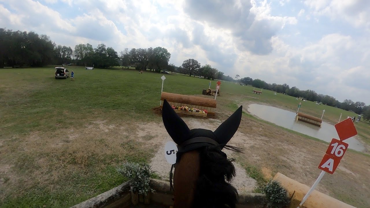 GoPro: 5th Place!! Renkum Corsair (Open Intermediate | 2023 Rocking Horse Winter III HT)